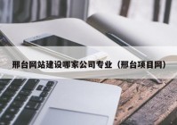 邢台网站建设哪家公司专业（邢台项目网）